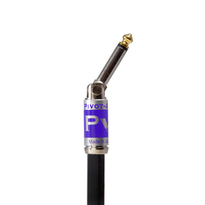 CABLE: PV-A PLUG TO PV-S PLUG